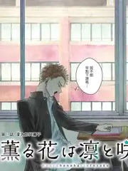 音乐盲盒现场 综艺在线观看